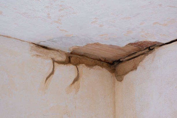 Best Ceiling water damage repair  in Amesti, CA