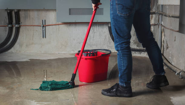 Best Carpet water damage restoration  in Amesti, CA