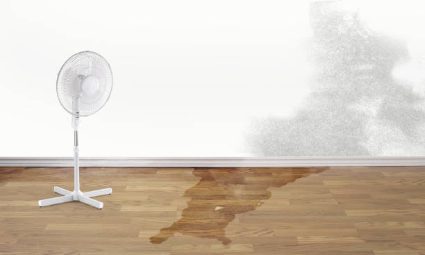 Best Local water damage restoration  in Amesti, CA