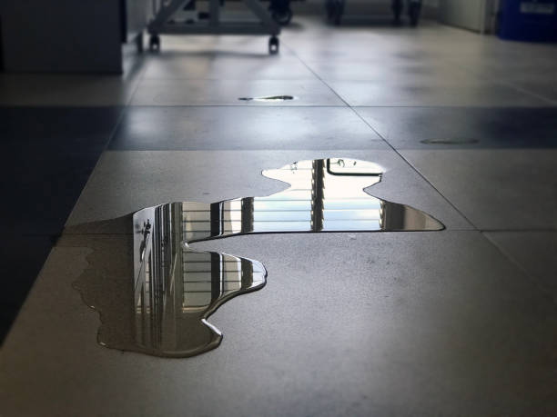 Best Commercial water damage restoration  in Amesti, CA