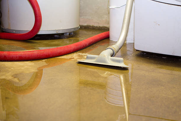  Amesti, CA Water damage restoration Pros