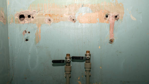 Best Professional water damage repair  in Amesti, CA
