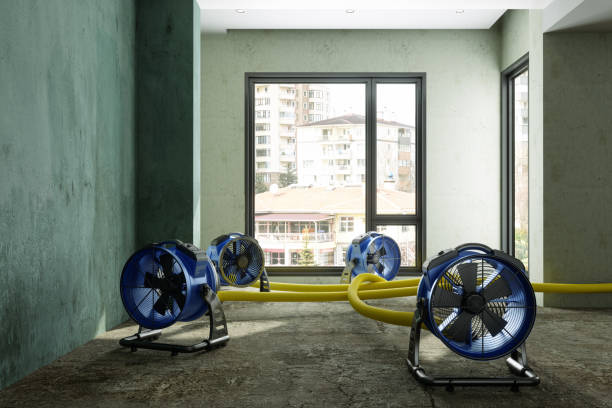 Best Water damage restoration near me  in Amesti, CA